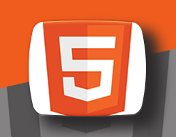 HTML 5